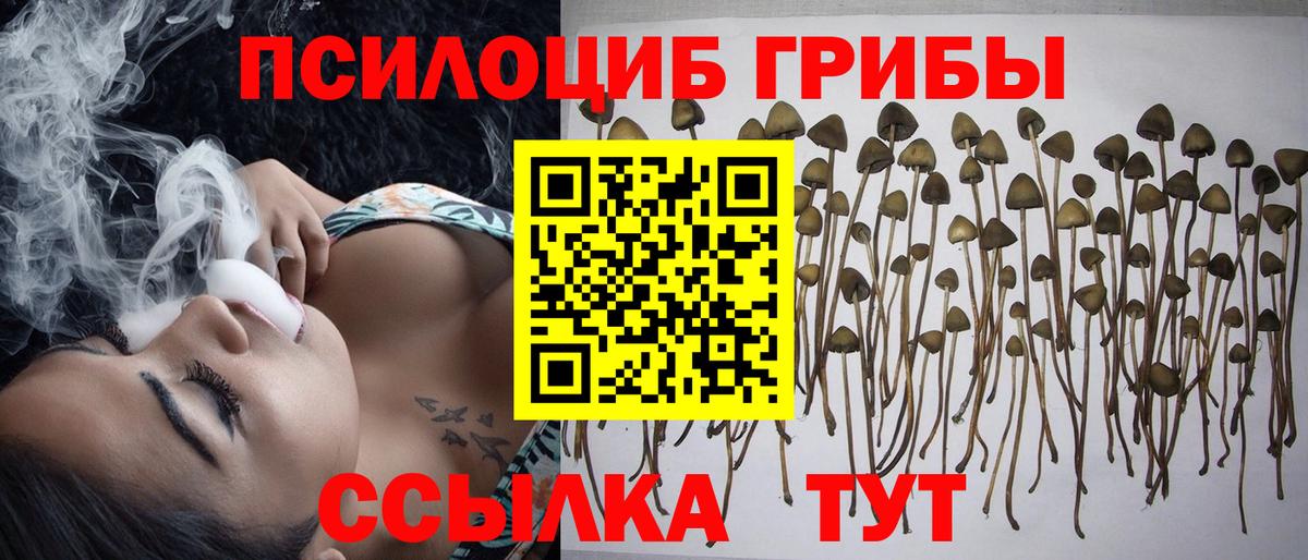 Надым  сколько стоит  Вход с VPN  Галлюциногенные грибы GOLDEN TEACHER 